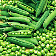 Горох овощной Вега